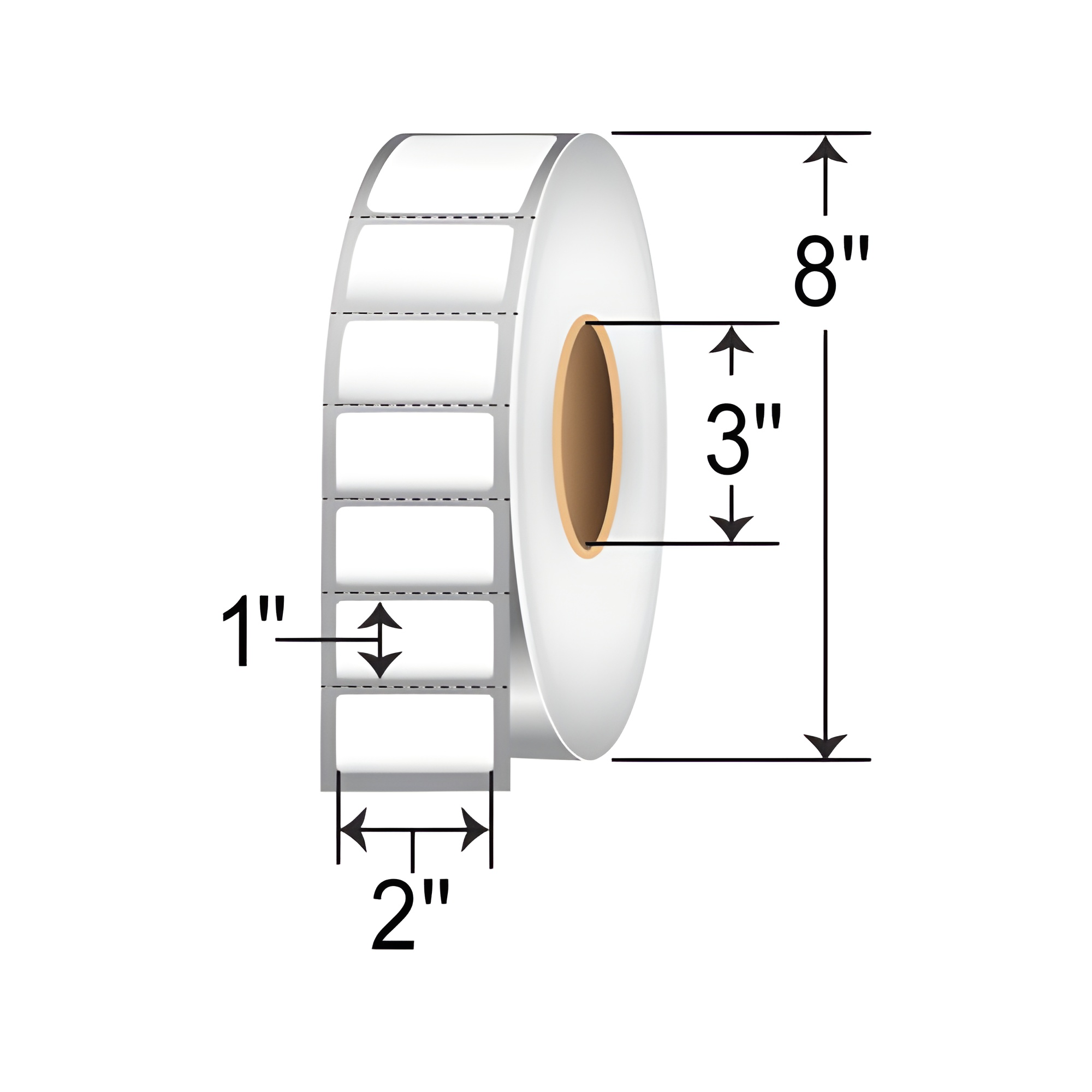 Roll of perforated 2" x 1" direct thermal labels with 3" core and 8" outer diameter.