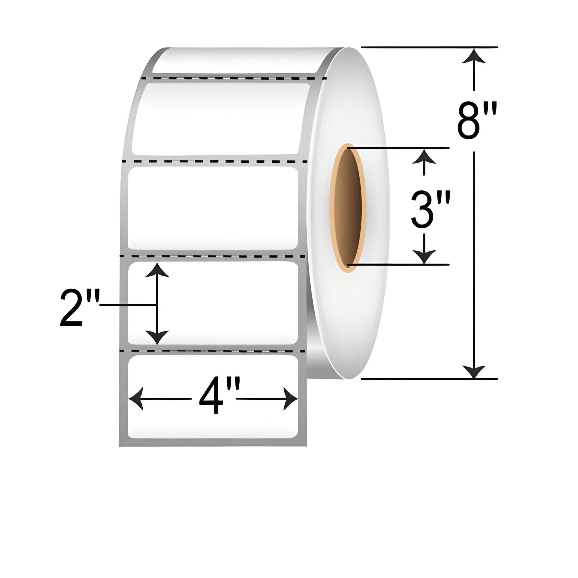 Roll of perforated 4" x 2" thermal transfer polypropylene labels with 3" core and 8" outer diameter.